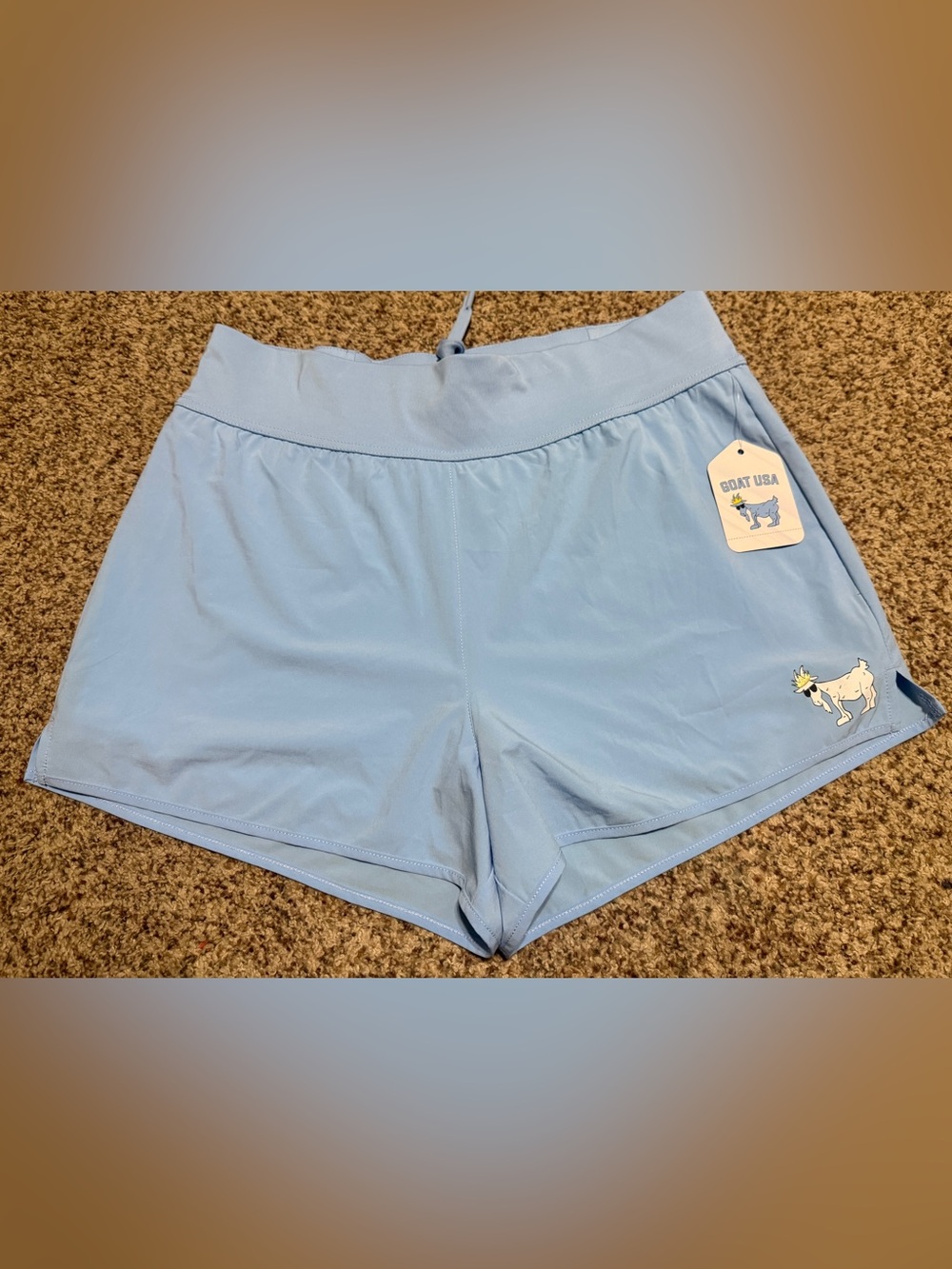 Goat USA Sky Blue Athletic Shorts with Elastic Waist and Liner Womens L NWT